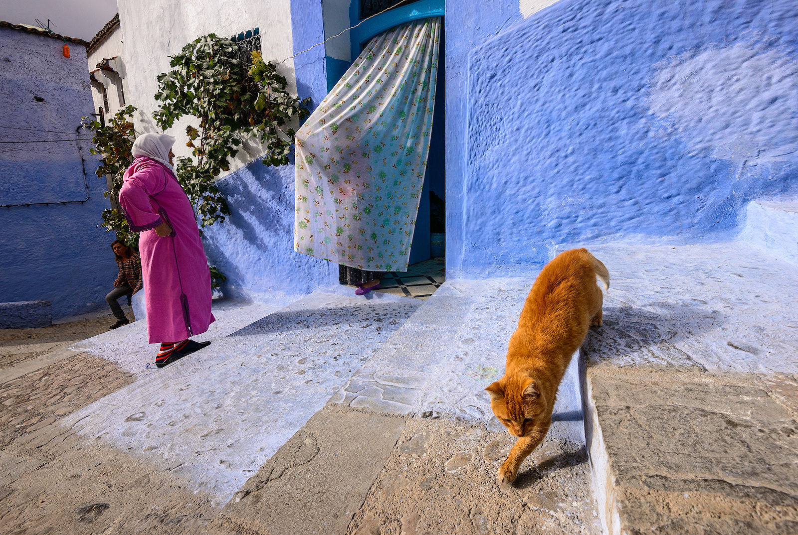 Sergey Pesterev. Inhabitants of the blue city. Без названия