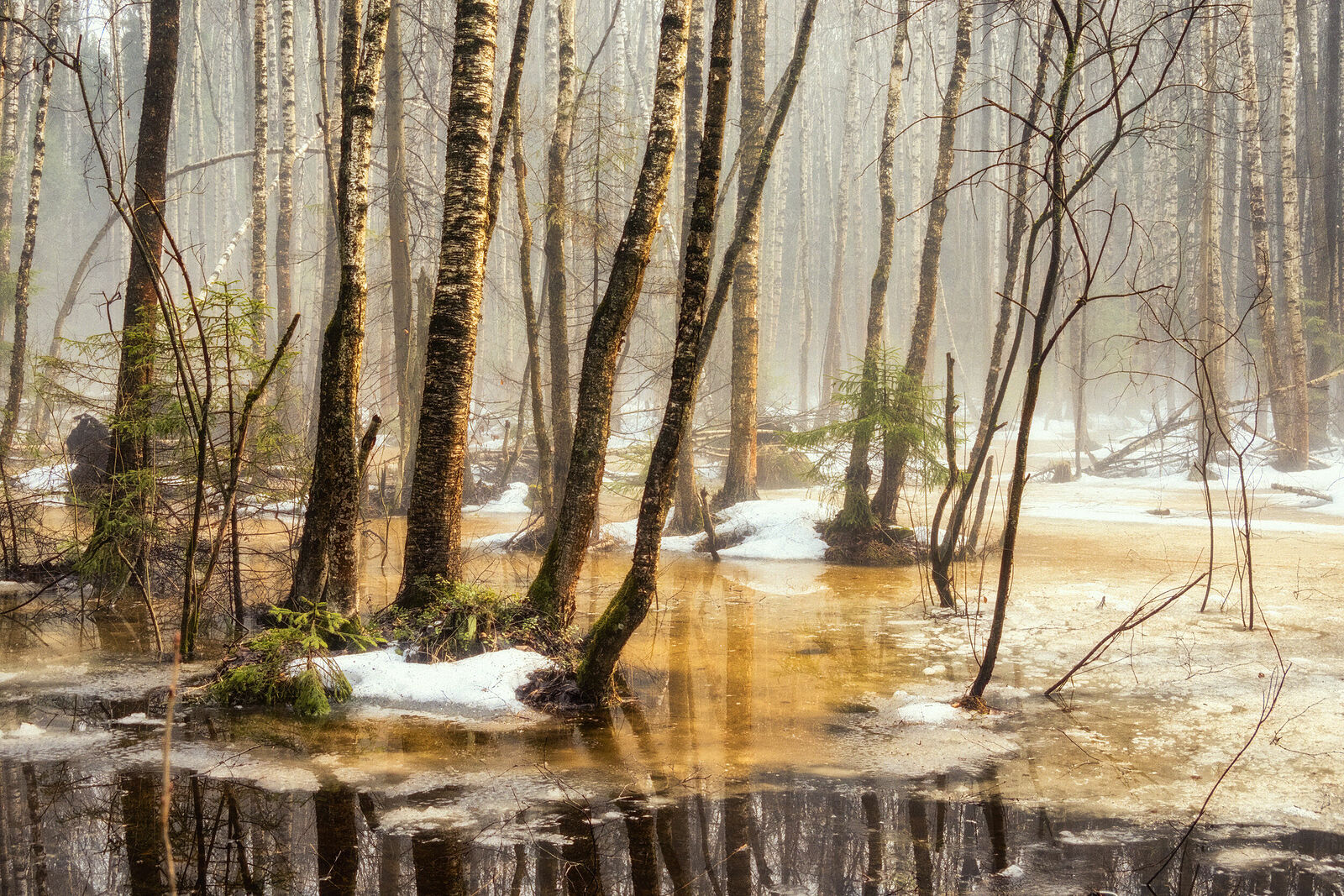 Sergey Pesterev. Middle zone of Russia. Без названия